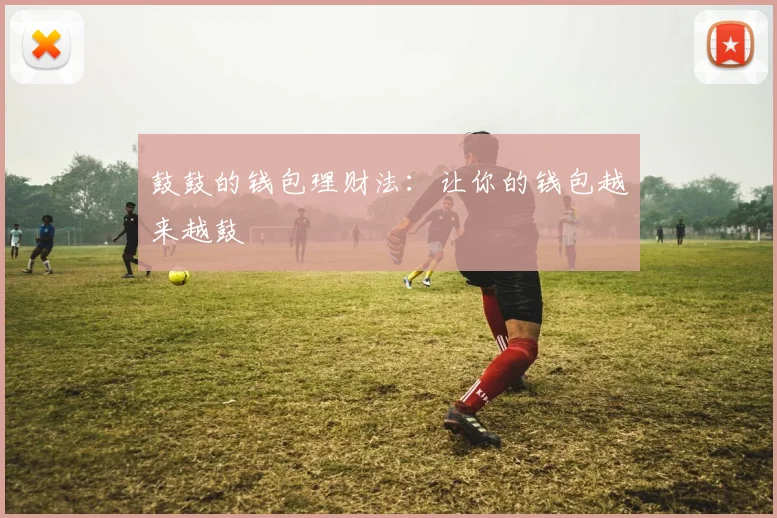 鼓鼓的钱包理财法：让你的钱包越来越鼓
